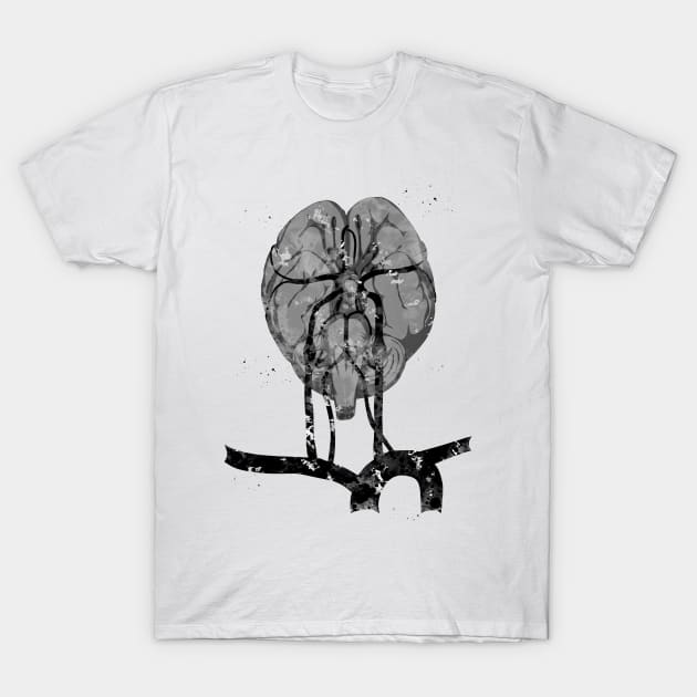 Brain and brainstem T-Shirt by erzebeth